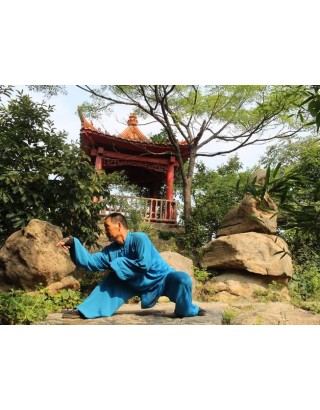 7 месяцев практики Mei Hua Poles и шаолинь Кунгфу | Академия Tianmeng - Шаньдун, Китай
