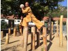 7 месяцев практики Mei Hua Poles и шаолинь Кунгфу | Академия Tianmeng - Шаньдун, Китай