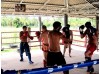 6 месяцев тайского бокса и MMA  | 301 GYM - ТАИЛАНД