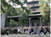 2 недели тренировок в шаолиньском монастыре | CK Martial Hearts - Гуанчжоу, Китай