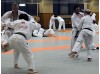 Месяц тренировок по Дзюдо | Kodokan Judo Institute - Токио, Япония