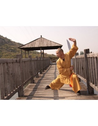 5 месяцев практики Кунгфу с монахами | Академия Tianmeng - Шаньдун, Китай