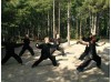 Месяц тренировок Kung Fu | Академия боевых искусств Siping - Цзилинь, Китай