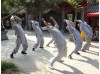 2 года изучения Кунг фу с мастерами стиля | Суншань Шаолинь Ушу Академия - Хэнань, Китай
