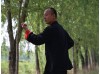 3 месяца занятий шаолиньским Кунгфу | Школа Middle Kingdom - Шаньдун, Китай