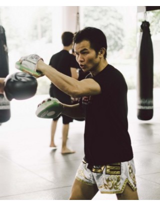 Месяц тренировок смешанных единоборств в Сингапуре | Evolve Mixed Martial Arts