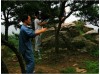 Месяц настоящего Шаолинь Кунг-Фу | Академия Jiang Taigong - Шаньдун, Китай