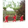 2 недели Кунг Фу и боевых искусств | Kunlun School - Шаньдун, Китай