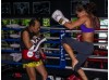 Неделя MMA, BJJ и Muay Thai | Maximum Fitness - Пхукет, Таиланд