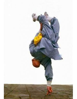 Год интенсивных и продвинутых тренировок Кунг-Фу | Qufu Shaolin School - Шаньдун, Китай