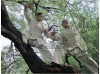 2 недели занятий Kung Fu | Qufu Shaolin School - Шаньдун, Китай