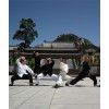 3 месяца тренировок Кунг-фу | Акдемия Shengjing Shan - Шаньдун, Китай