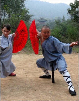 6 месяцев тренировок Кунгфу и Ушу | Суншань Шаолинь Ушу Академия - Хэнань, Китай