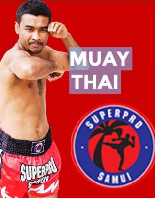 3 недели тренировок Муай Тай | Superpro GYM - Самуи, Таиланд