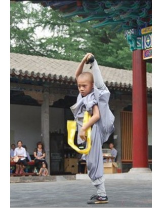 2 месяца занятий Кунг фу | Горный шаолиньский монастырь Тайзу - Хэбэй, Китай