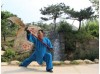 2 месяца практики Тайчи и Кунгфу | Академия Tianmeng - Шаньдун, Китай