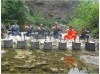 Месяц Шаолинь Кунгфу Всё-Включено | Международная Академия Боевых Искусств Юнтай - Хэнань, Китай