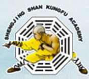 Shengjing Shan Kungfu Academy